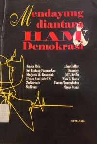 Image of Mendayung Diantara HAM Demokrasi